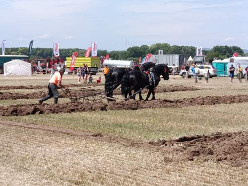 IMG_20260609_112158